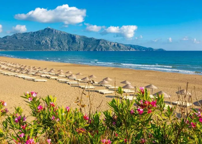 Duman 1 别墅 达利安